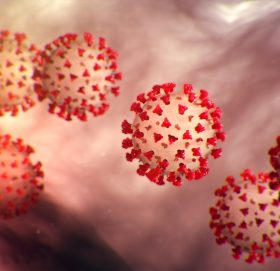 महाराष्ट्रमा कसरी फैलियो कोरोना भाइरस ?