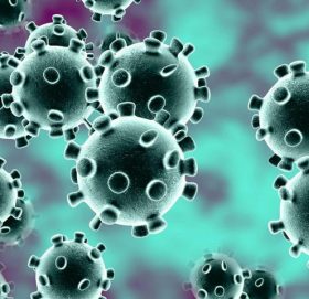 ब्रेकिंग- उदयपुरमा थप १ जनामा कोरोना पोजेटिभ भेटियो