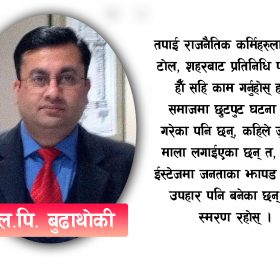 इतिहास, राजनीति र अर्थतन्त्र – एल.पी बुढाथोकी