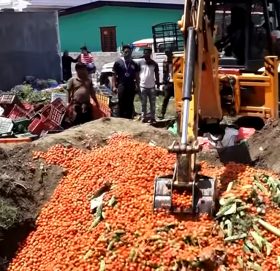 स्वदेशी तरकारी खाल्डोमा, आयातित तरकारी भान्सामा