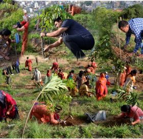 गोकर्नेश्वोर नगरपालिकाका महिला समुहद्वारा सामुदायिक वन बिपी बाटिकामा वृक्षारोपण