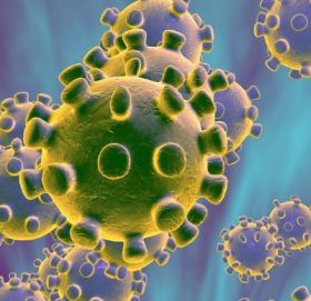 उपत्यकामा १६१५ सहित २३६४ जना कोरोना संक्रमित थपिए, १७ जनाको मृत्यु, ३०३८ डिस्चार्ज