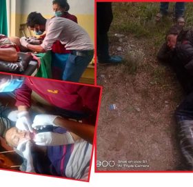 रामेछापको गुम्देलमा भालुको आतङ्क : एकैठाउँ तीनवटा, आक्रमणबाट एक जना गम्भिर घाइते