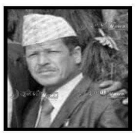 तामाकोशी नदीमा हाम्फालेर थापा बेपत्ता : खोजी कार्य जारी