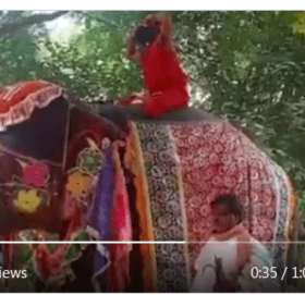 भारतीय चर्चीत योगगुरु रामेदेव हात्तिबाट लडेपछि………भिडियोसहित