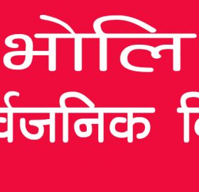 भोली सार्वजनिक बिदा