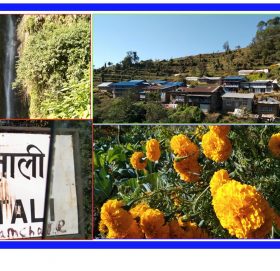 साताका सतस्बिरहरु [फोटो]