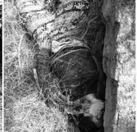 दाउरा खोज्न जाँदा ढुङ्गा पल्टिएर आएर किच्दा लिखु तामाकोशीमा १७ वर्षीय किशोरको मृत्यु