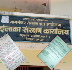 गौरीशंकर संरक्षण क्षेत्रमा कार्यरत १९ जना कर्मचारी कामबाट बिना कारण हटाइएको भन्दै आन्दोलित्