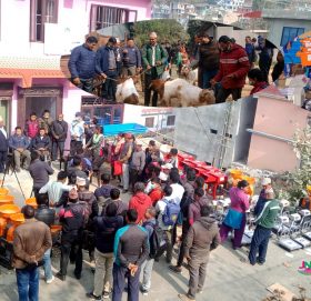 रामेछापमा बाख्रा जोनका कृषकहरुलाई बाख्रा, डिसमिल, डिजीटल तराजुसहितका यन्त्र उपकरण विरतण