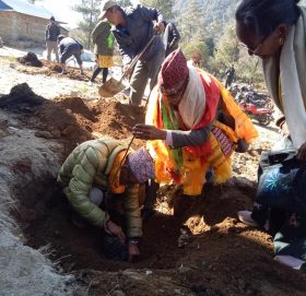 चुचुरेमा वडाअध्यक्ष लामाले जन्मदिनको अवसरमा रोपे वडामा फलफूलका विरुवा