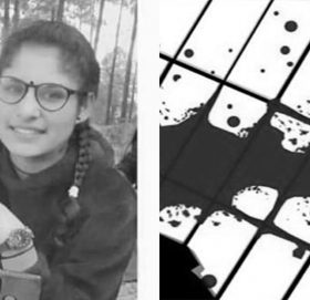 भागरथी हत्या प्रकरण : हत्यार भट्टकै सहपाठी संलग्न भएको पुष्टि, आज सार्वजनिक गरिँदै