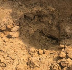 गोकुलगंगामा माटोको ढिस्कोले थिच्दा सुनुवार गम्भिर घाइते