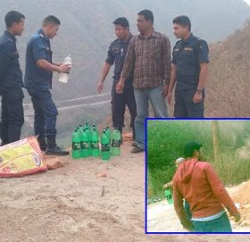 सेलेघाट प्रहरीले अबैध रुपमा काठमाडौं लादै गरेको घरेलु मदिरा नष्ट गर्यो
