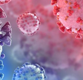 गोकर्णेश्वर नगरपालिकामा कोरोना संक्रमित संख्या १८५० नाघ्यो, कहाँ कती ?