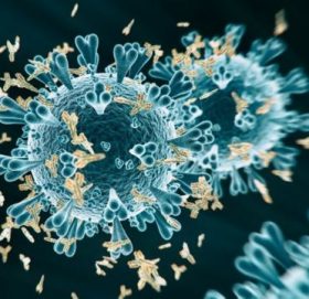 पछिल्लो २४ घन्टामा देशभर २,२९५ जनामा कोरोना संक्रमण पुष्टि, १६ को मृत्यु