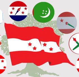 कांग्रेसले म्याद गुजारेका नौ वटा भ्रातृ संघसंस्थाहरुको म्याद ६ महिना थप गर्यो