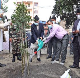 ‘राष्ट्रसेवक कर्मचारी वृक्षरोपण अभियान’ प्रधानमन्त्री देउवाद्धारा  शुभारम्भ