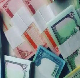 नेपाल राष्ट्र बैंकले दशैँका लागि नयाँ नोट असोज ४ गते बाट वितरण गर्दै