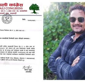 काठमाडौं क्षेत्र नं ३ प्रदेश ‘ख’ मा कार्यबाहक सभापति विकेश श्रेष्ठ